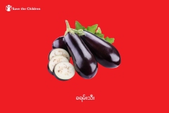 Eggplant-copy